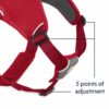 Imbracatura Web Master™ Harness Ruffwear