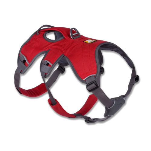 Imbracatura Web Master™ Harness Ruffwear