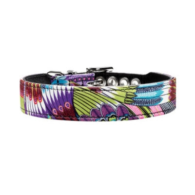 collare tropical hunter
