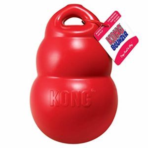 KONG BOUNZER