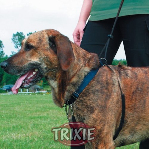 cane che indossa la pettorina da addestramento Easy Walk Basic Trixie