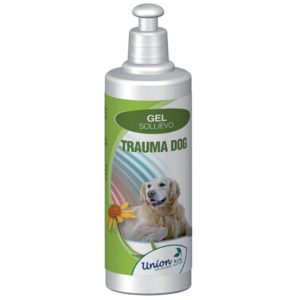 gel trauma per cane