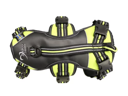 Pettorina 4 Season Power Per Cani - Taglia M, Leggera E Resistente, Ideale Per Passeggiate E Escursioni