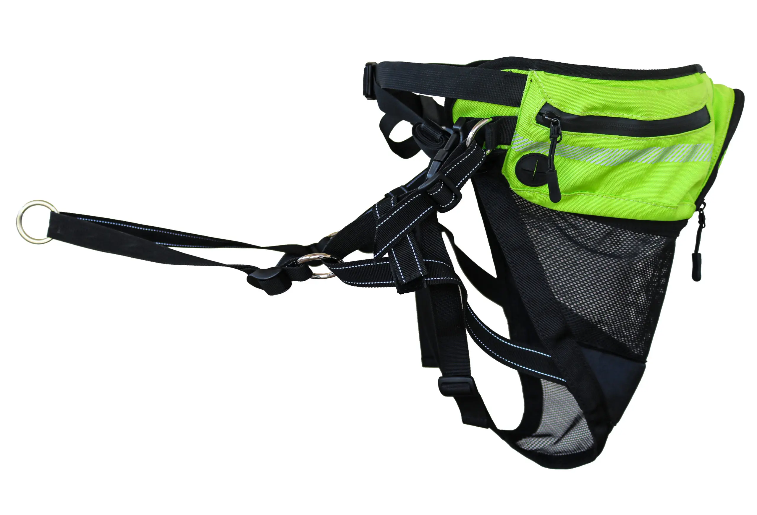 Cintura Dog Trekking Explorer Axaeco attrezzatura per lo sport con il cane