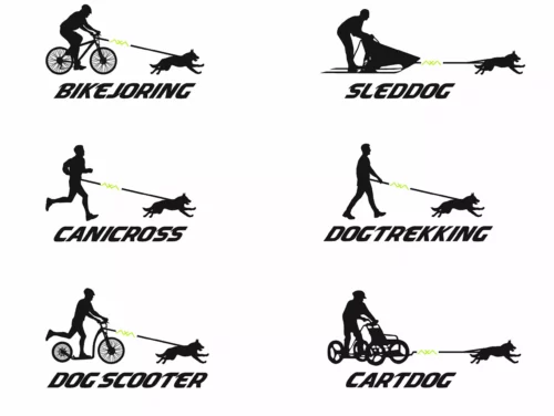 icone sport con il cane canicross sleddog bikejoring dog scooter dog trekking cartdog