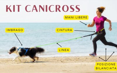 Quale kit comprare per iniziare a praticare Canicross con il proprio cane?