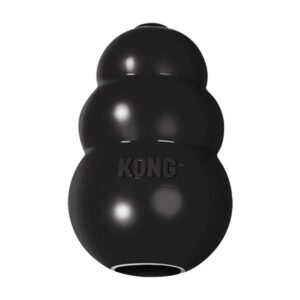 gioco porta biscotti per cani Kong Extreme